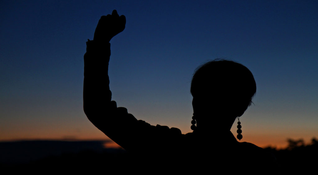 Kvinne i silhuett knytter neven. Kvinnekamp, motstand. Woman raising her clenched fist. Women´s right, struggle, fight. Foto: © Bjørn-Owe Holmberg / Samfoto